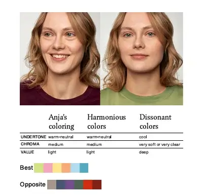 color harmony